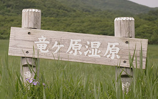 Mountain Conqueror